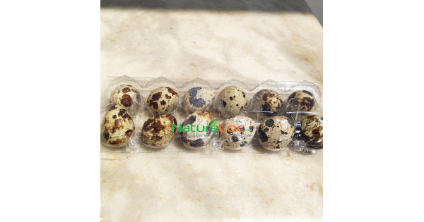 Buy Quail Eggs Online | Kada Mutta -NatureLoc